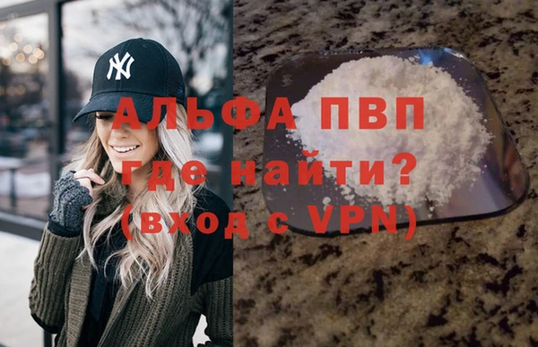 индика Кулебаки