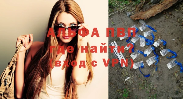 индика Кулебаки