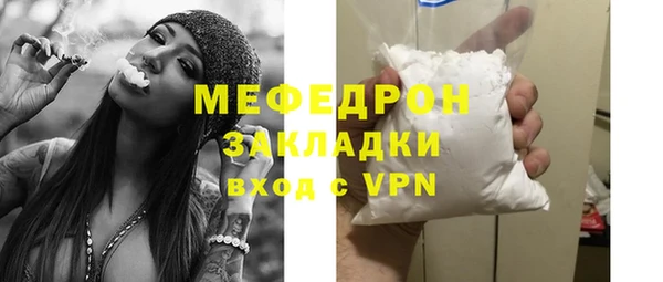 индика Кулебаки