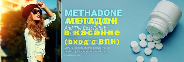 индика Кулебаки