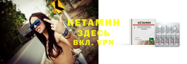 индика Кулебаки