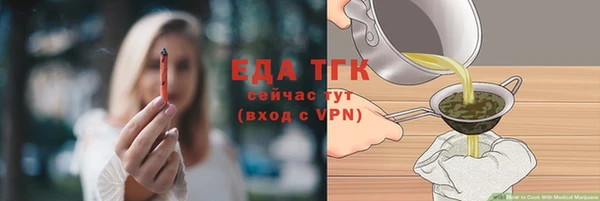 индика Кулебаки