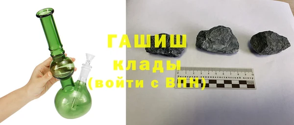индика Кулебаки