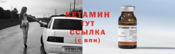 индика Кулебаки