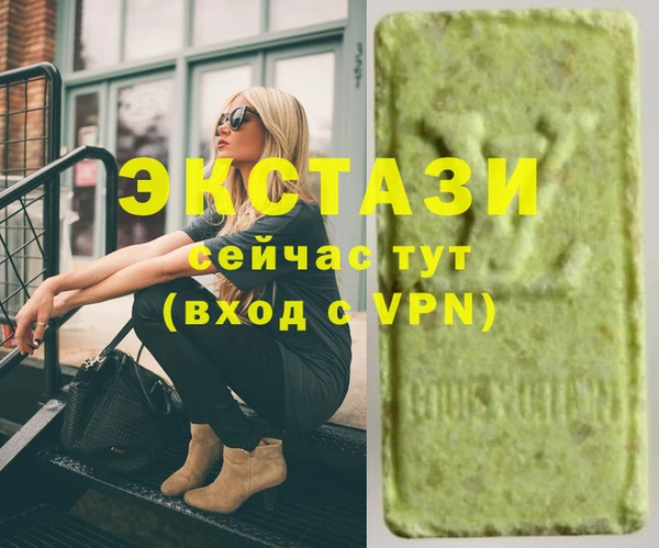 индика Кулебаки