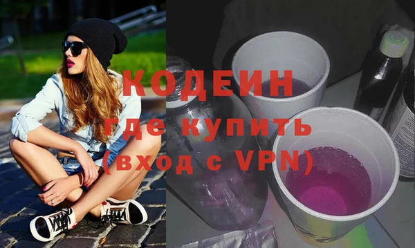 индика Кулебаки