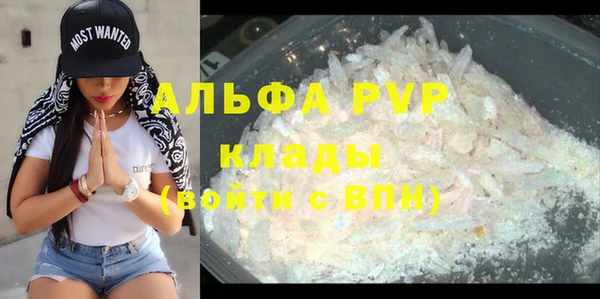 индика Кулебаки