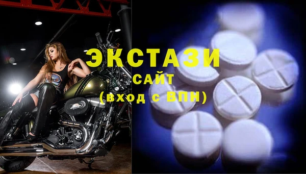 индика Кулебаки