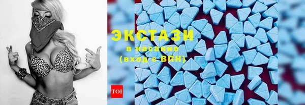 индика Кулебаки