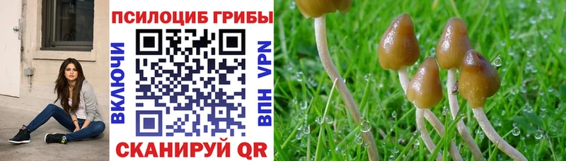 Галлюциногенные грибы мицелий Райчихинск